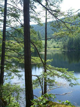Photo of Grafton Lake.